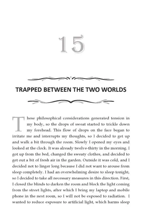 holographic multiverse chapter 15